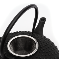 Yoshi en Cast Iron Kambin Teapot 800ml