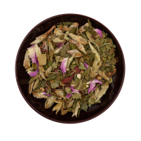 Ginkgo Youth Phyto Activate