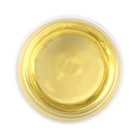 Ginkgo Youth Phyto Activate