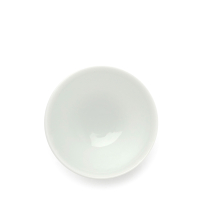 Teacup China Jingdezhen Porcelain Yoshi en