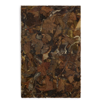 Gushu Bai Mu Dan Tea Bar