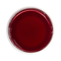 Red Berries Pure Fruit Edible Tea