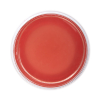 Strawberry Caramel Edible Tea