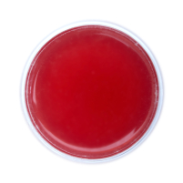 Passionfruit Blueberry Caramel Edible Tea
