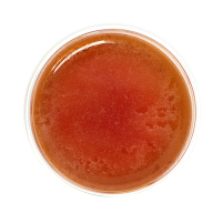 Rooibos Caramel Bio