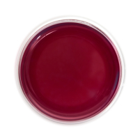 Dragonfruit Blueberry Caramel Edible Tea