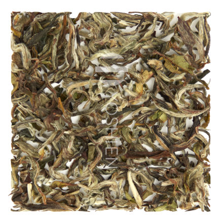 Darjeeling White First Flush Jungpana 
