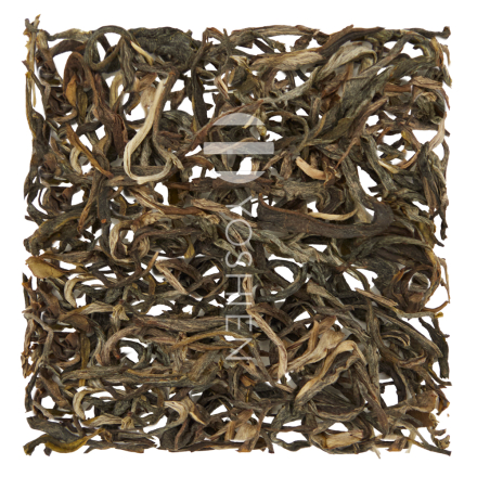 Bai Mao Cha High Catechin Grüntee
