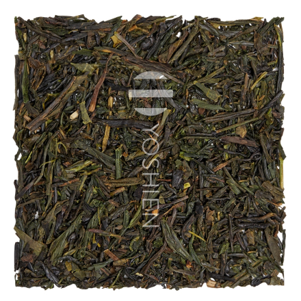GABA Gyokuro Yabukita Organic