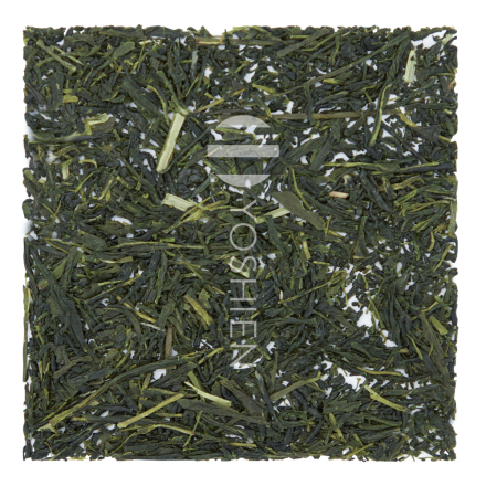 Sencha Takaki Okumidori