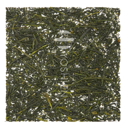 Sencha Makizono Hanaka Organic