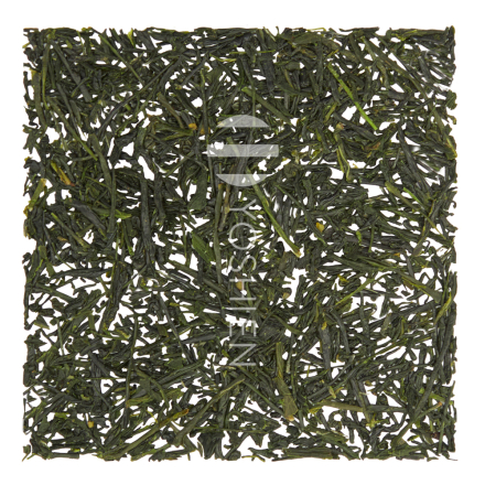 Sencha Makizono Tezumi Organic