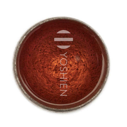 Wakocha Honyama Shizukaori Bio