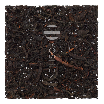 Wakocha Honyama Shizukaori Bio