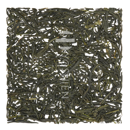 Sencha Kinezuka Morikaze Organic