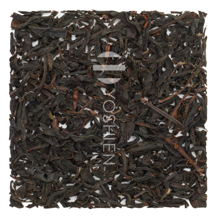 Wakocha Ashikita Koshun Summer