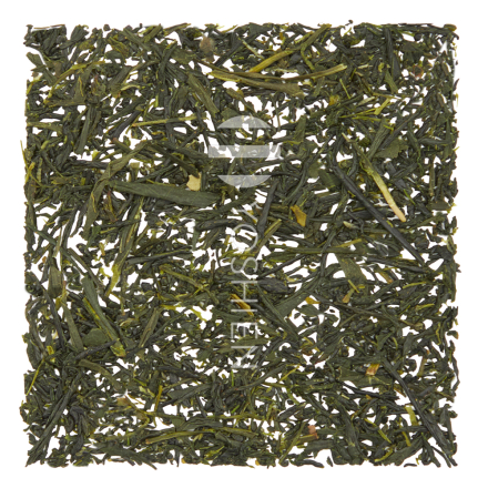 Sencha Yame Okuyutaka Bio