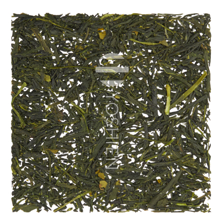 Sencha Yame Koboku Bio