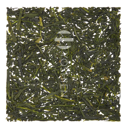 Sencha Yame Suiran Bio