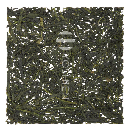 Sencha Yame Suiran Organic