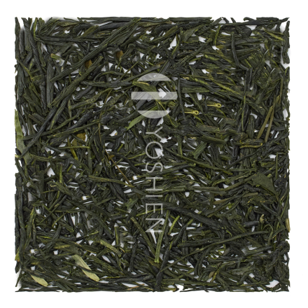 Gyokuro Honyama Yabukita