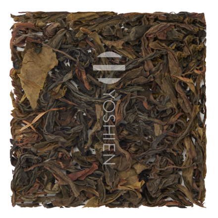  Oolong Yamazoe Goko Sans.Pest