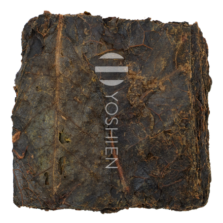 Goishicha 2023 P.Free