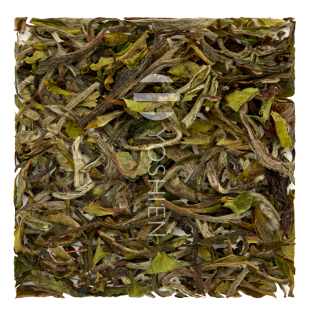 Spring Flush Juneli Sans.Pest