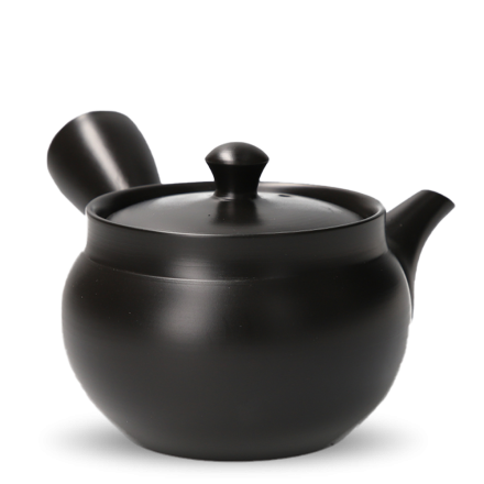 Kyusu Tokoname Kasen Kuro