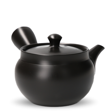 Kyusu Tokoname Kasen Kuro