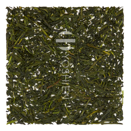 Gyokuro Okabe Bio