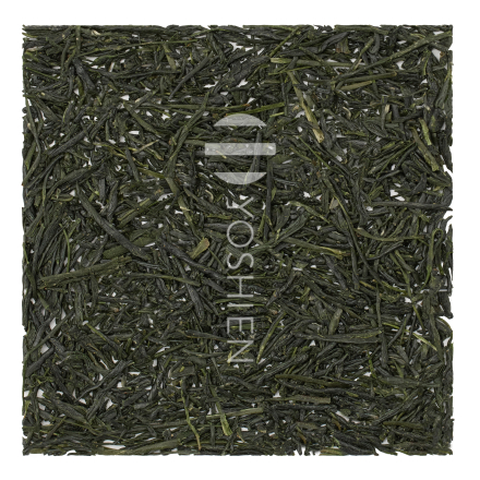 Gyokuro Kirishima Asanoka Organic