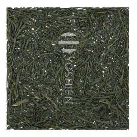 Gyokuro Hioki Asanoka Organic