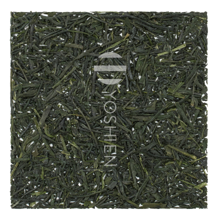 Gyokuro Satsuma Saemidori Organic
