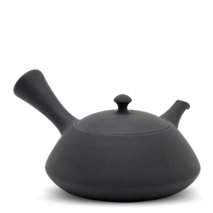 Kyusu Tokoname Fujita Hira Kuro