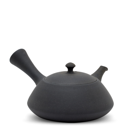 Kyusu Tokoname Fujita Hira Kuro