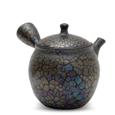 Kyusu Tokoname Shoryu Tenmoku