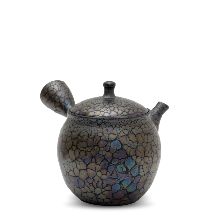 Kyusu Tokoname Shoryu Tenmoku