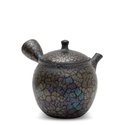 Kyusu Tokoname Shoryu Tenmoku