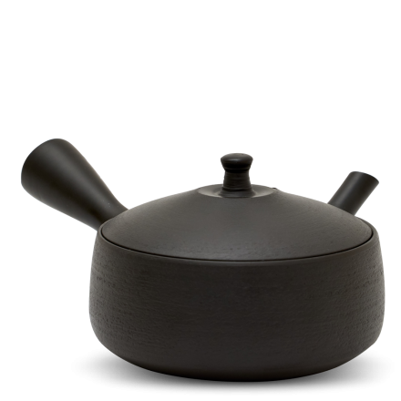 Kyusu Tokoname Hokuryu Hira Kuro