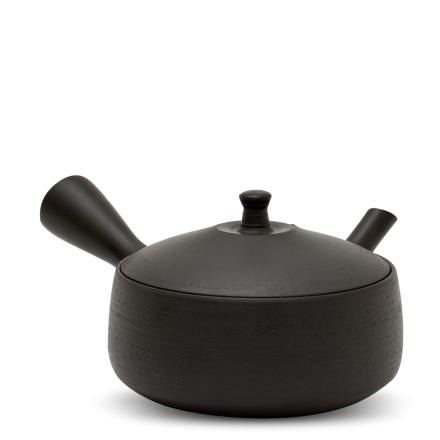 Kyusu Tokoname Hokuryu Hira Kuro