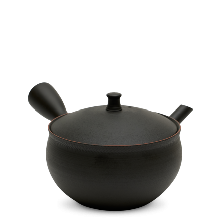 Kyusu Tokoname Hokuryu Namikage