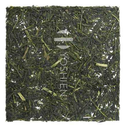Sencha Yame Shinsui P.Free