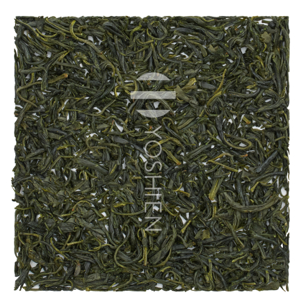 Kamairi Gokase Kiyoka Sans.Pest