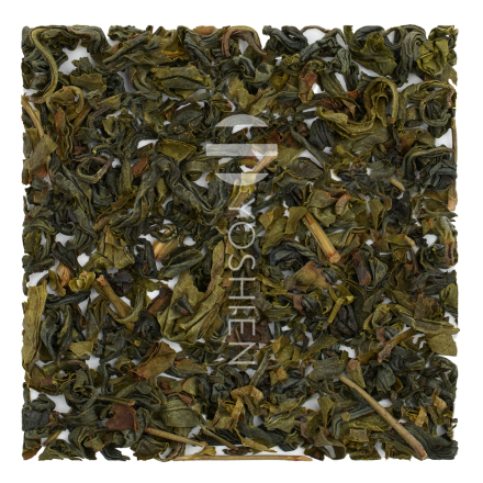 Icho Kamairi Yumewakaba Sans.Pest