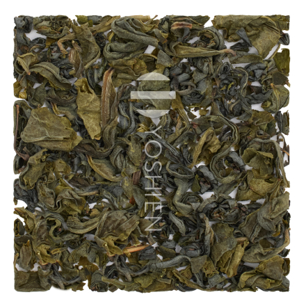 Icho Kamairi Takachiho Pest. Free