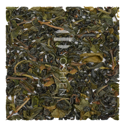 Icho Kamairi Koshun Sans.Pest