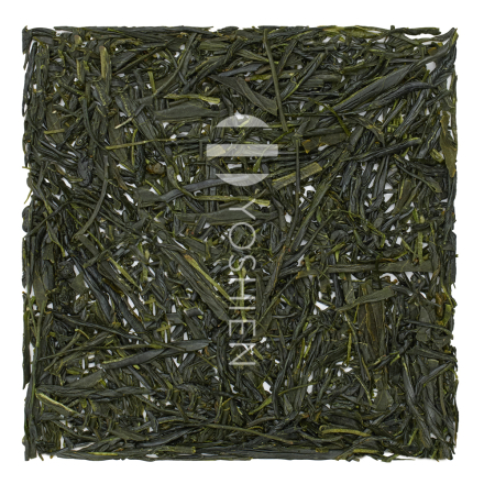 Kabusecha Honyama Seika P.Free