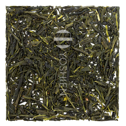 Sencha Ise Miyagawa Sans.Pest