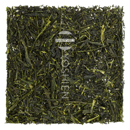 Sencha Izumi Asanagi Bio